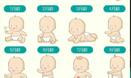 小儿头孢拉定干混悬剂-北京首儿头孢拉定颗粒网小儿头孢拉定颗粒说明知识网站,分享小儿头孢拉定干混悬剂大全